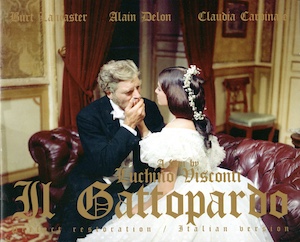 山猫パンフレット